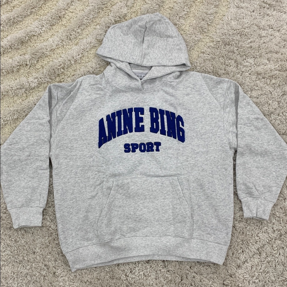 Anine Bing Sport Grey Pullover Hoodie Blue Distressed Embroidery Size Large